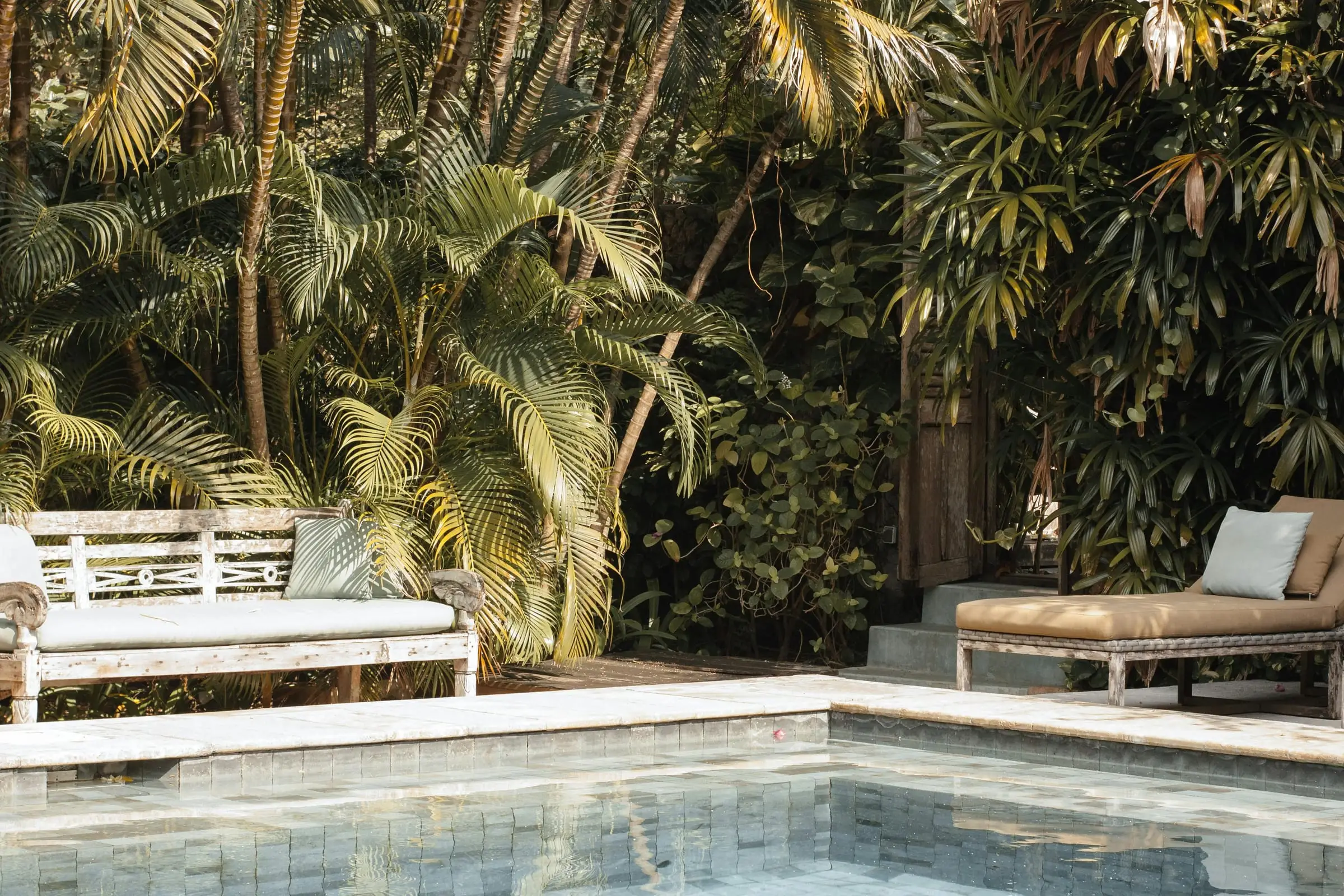 Kolam villa dengan kursi santai di bawah pohon palem